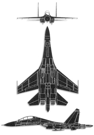 Sukhoi Su-30 Flanker - CombatAircraft.com